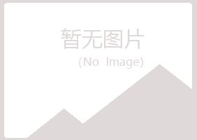 青山区岑迷公益组织有限公司